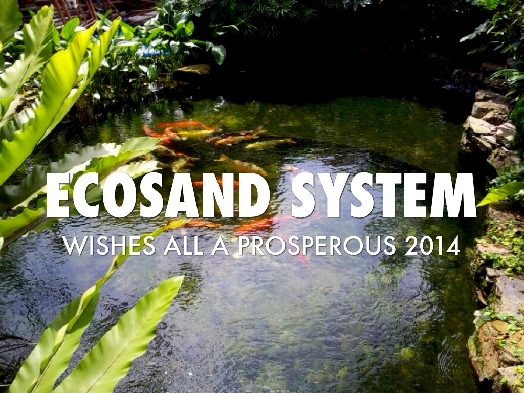 Ecosand System