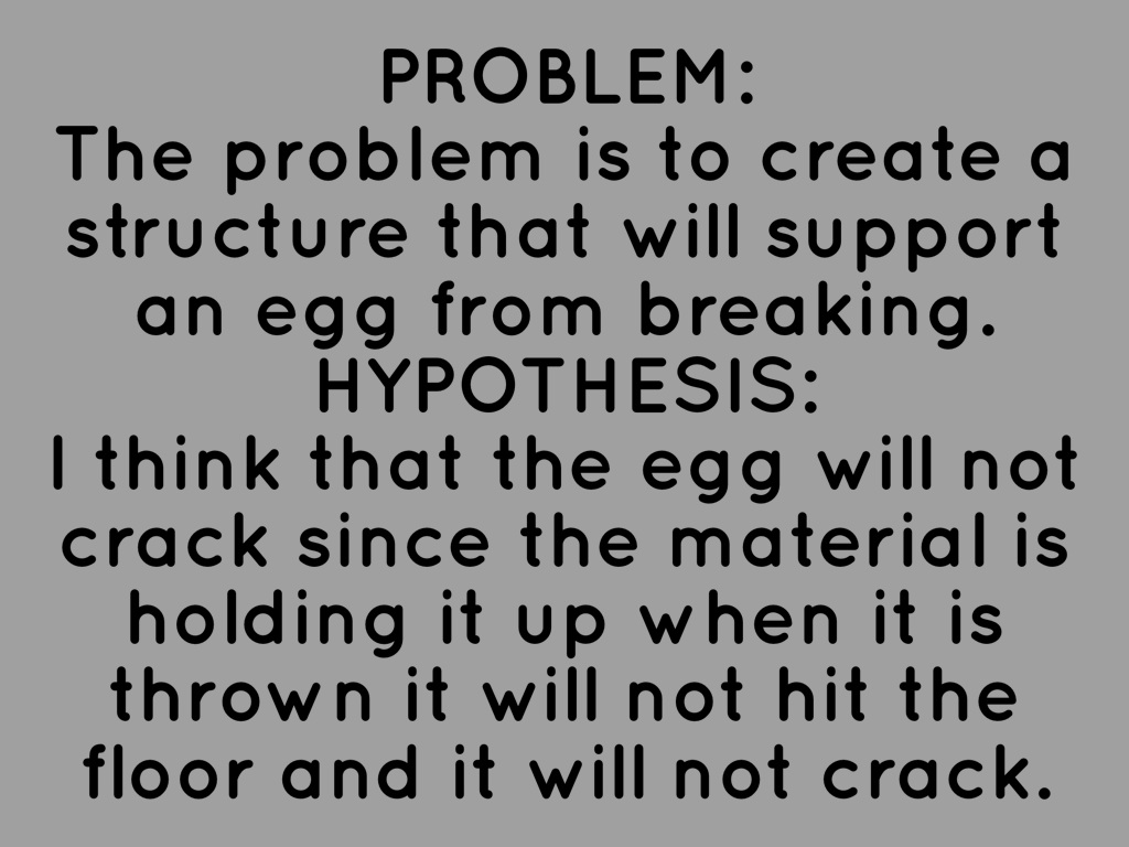 Copy of 💍Mckenzie's Egg Drop Project💩