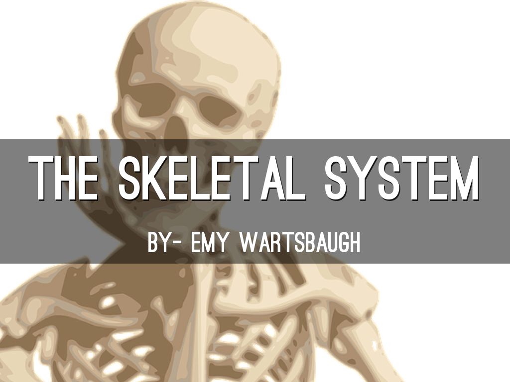 Skeletal System