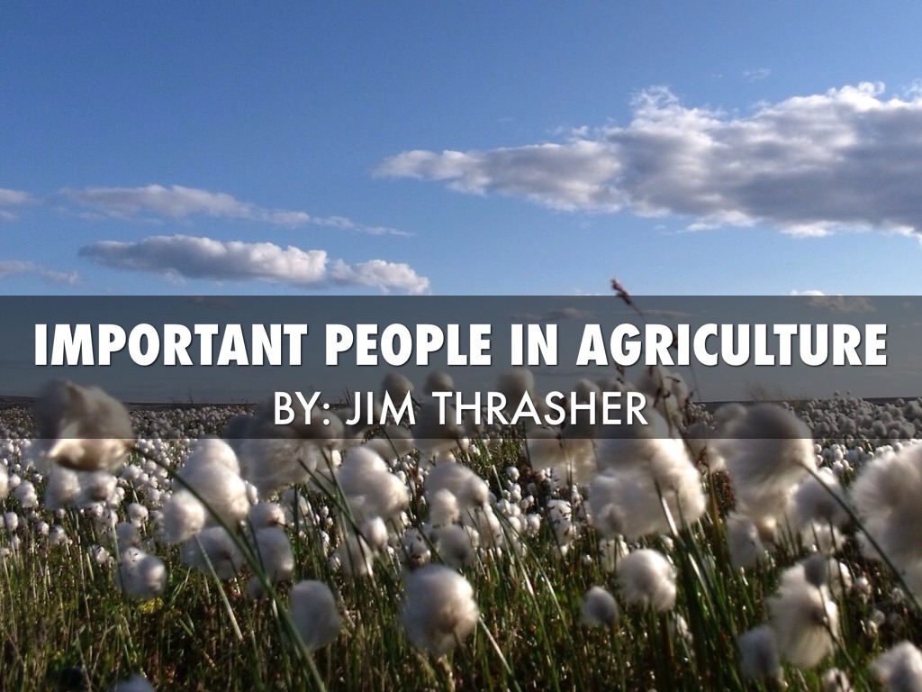 Pizza Jk Eli Whitney