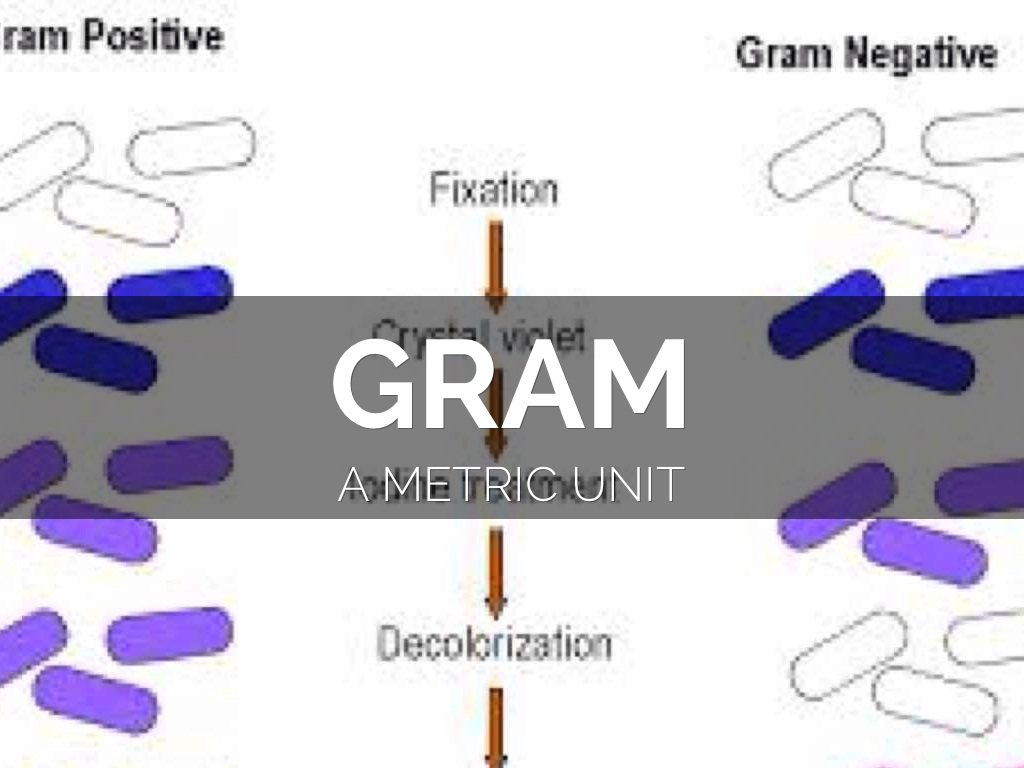 Metric System by Azi Rankins