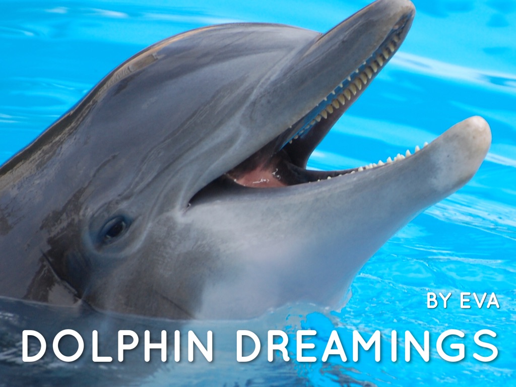 Dolphin Dreamings