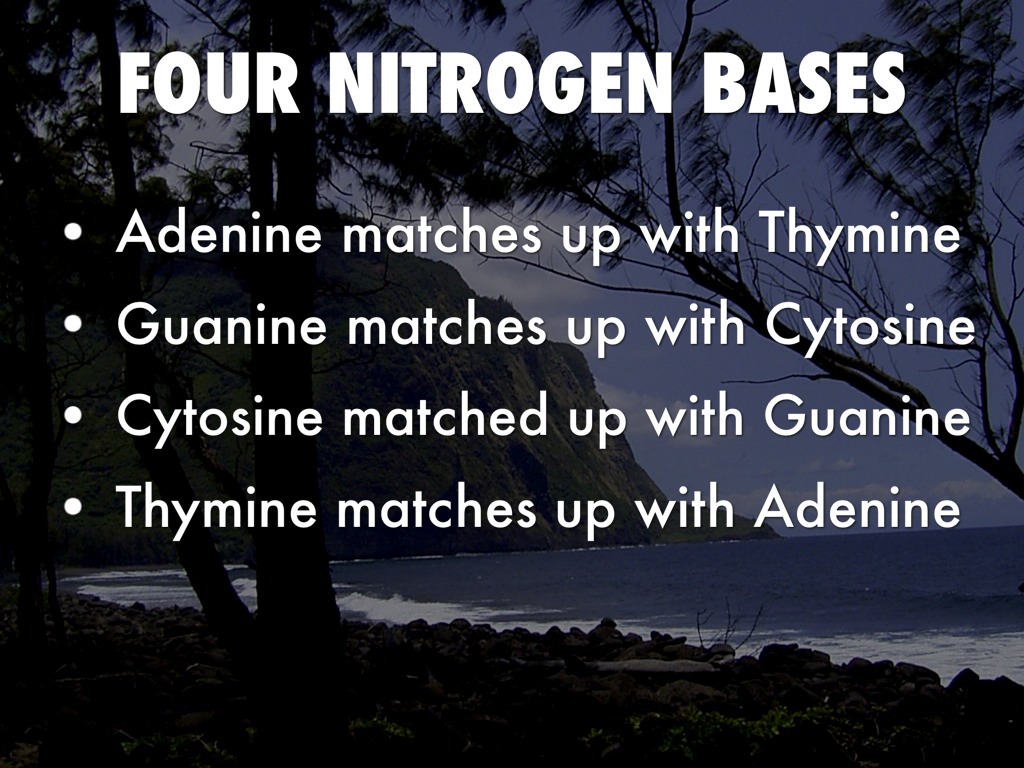 Biology Ch. 12 by miranda.hull