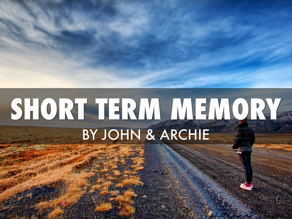 Short Term Memory