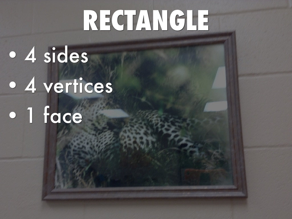 Copy of GEOMETRIC SHAPES THING