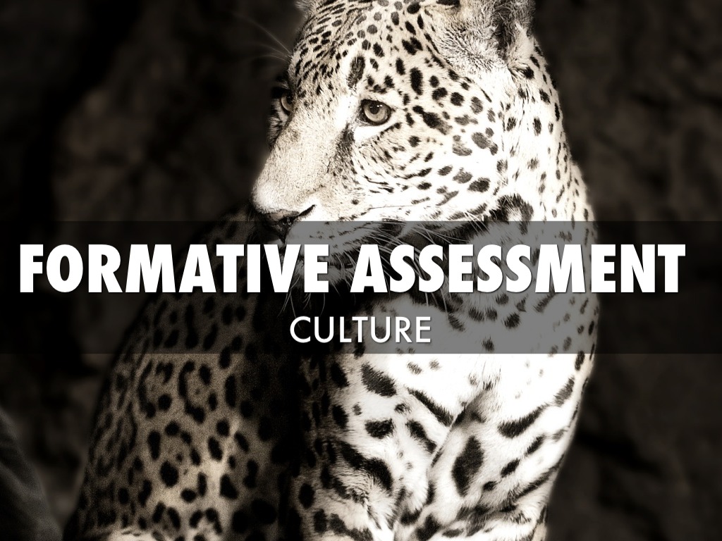 Formative assessment