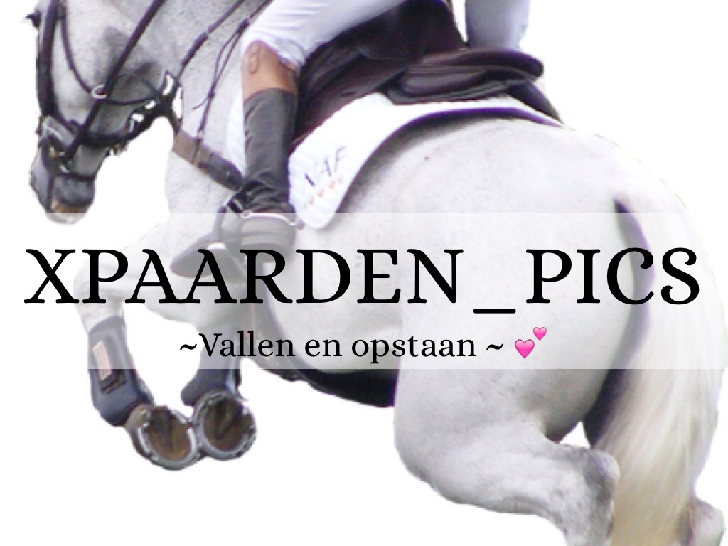 xPaarden_Pics  💕Poetsen 💕