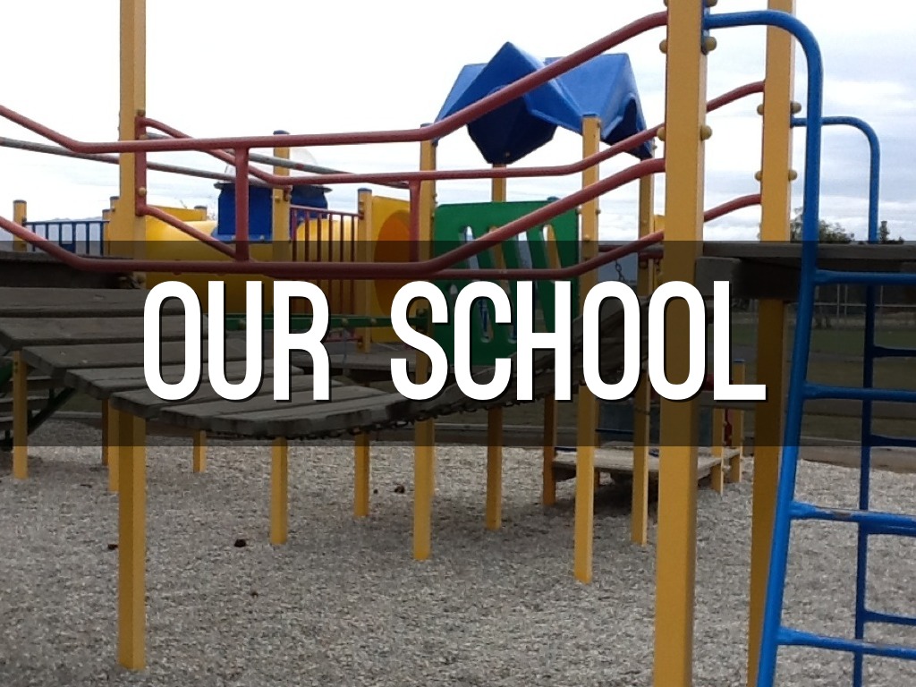 Our School