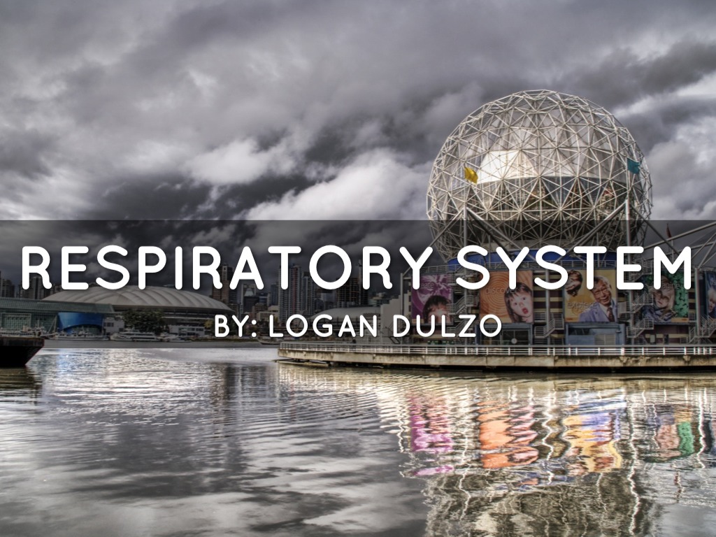 Respiratory System Disorder Project