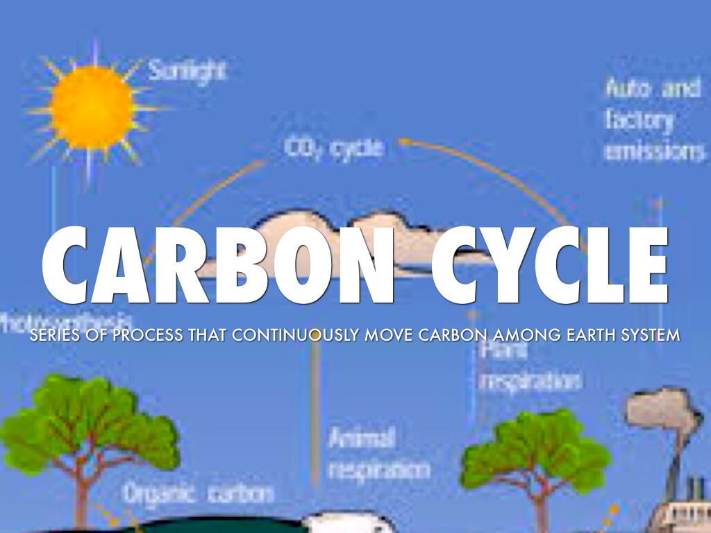 Ch. 13 Vocab by Nolan Durnil