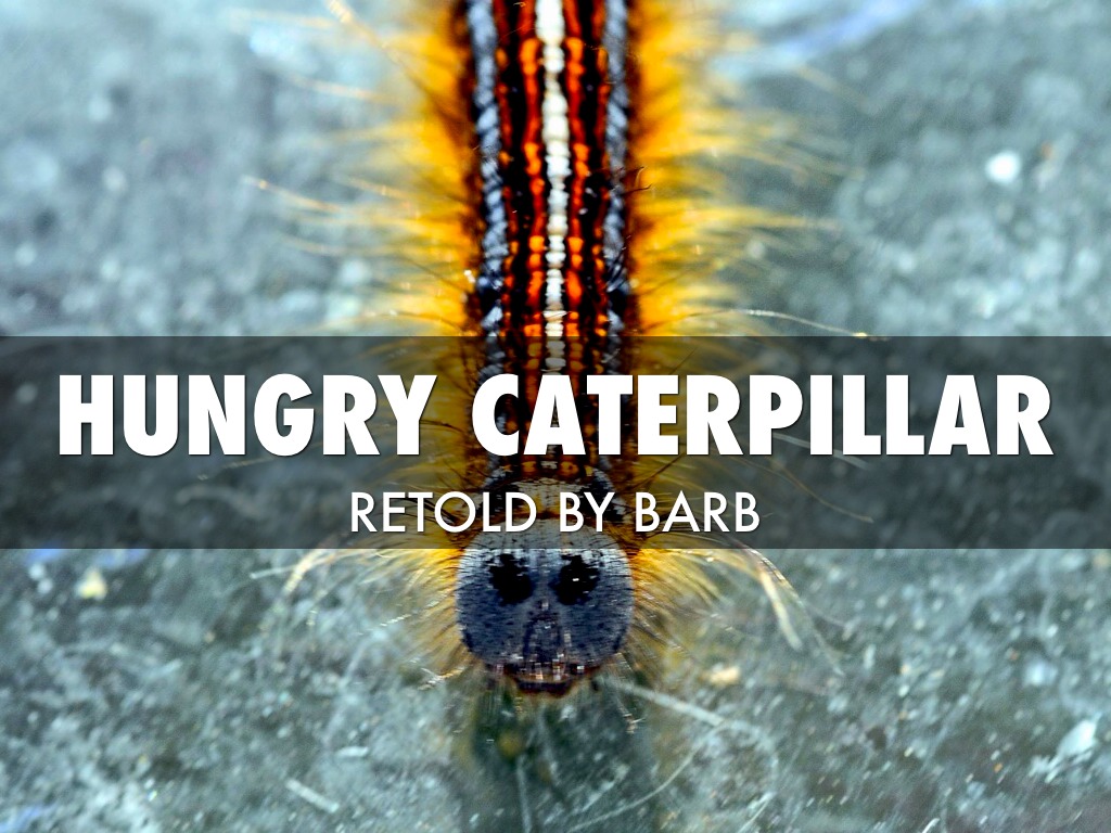 Hungry Caterpillar 