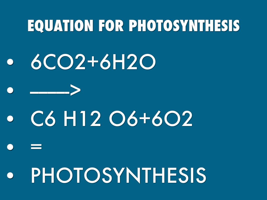 7_SheridanStone_Energyreview by Holly Steele