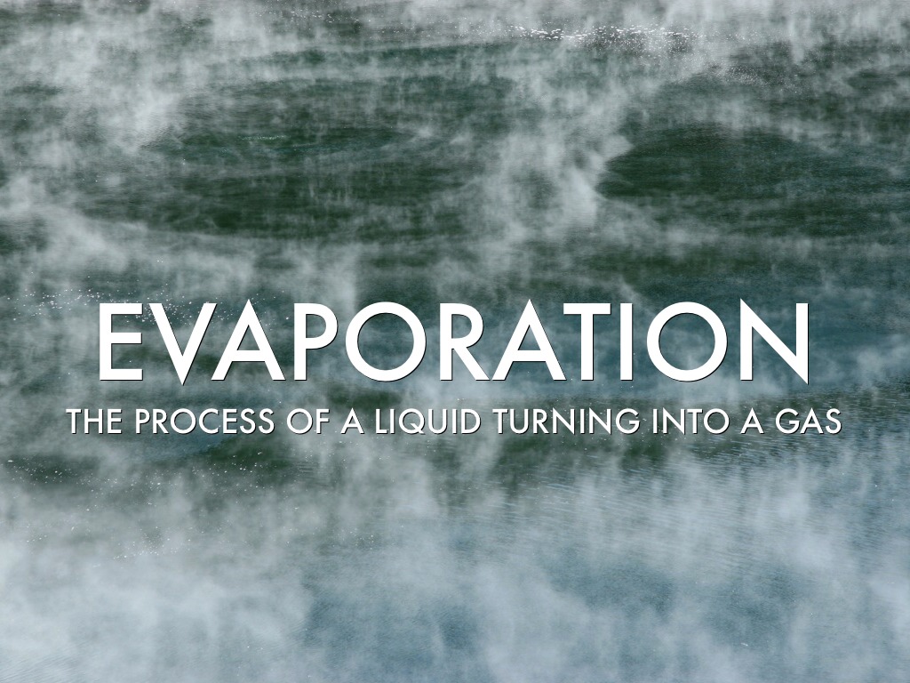 Water Cycle Terms-Ray