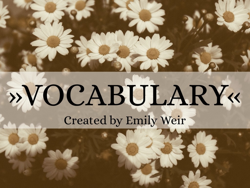 Copy of Map Skills Vocabulary