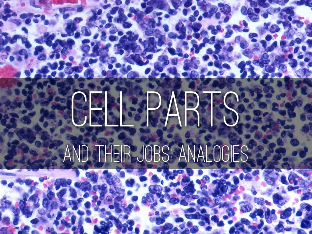 Cell Parts