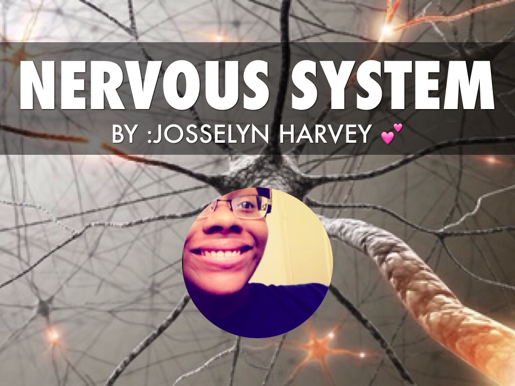 The Nervous System