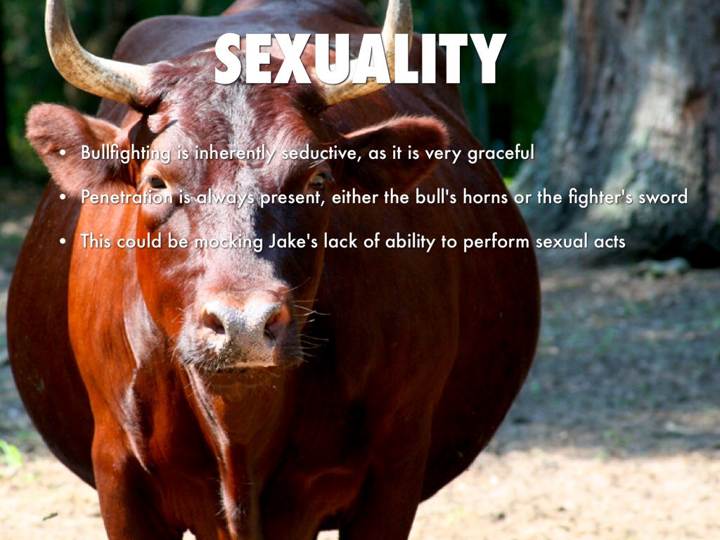 Bullfighting by Elliot Rick