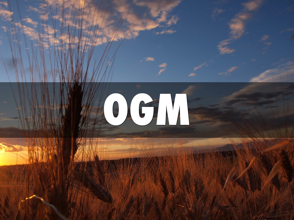 OGM