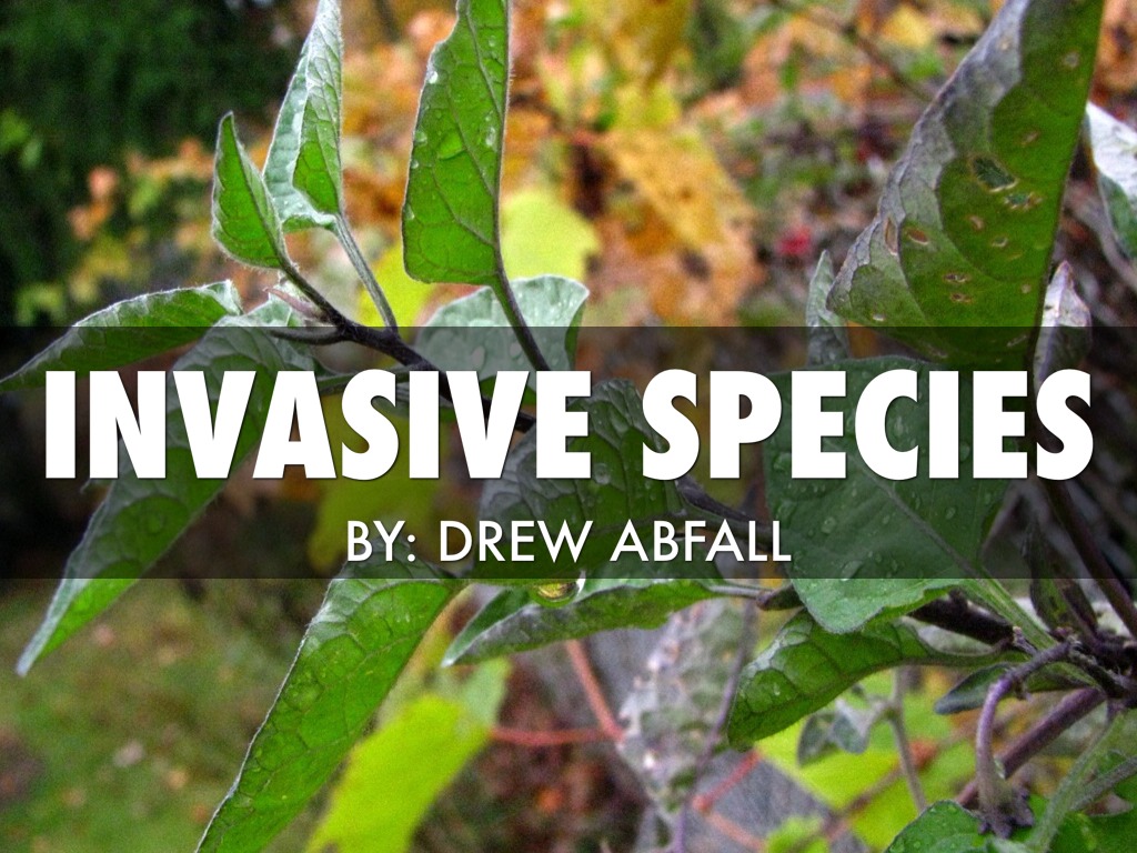 Invasive Species