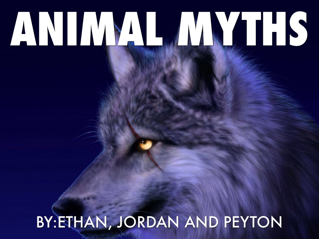 Animal Myths