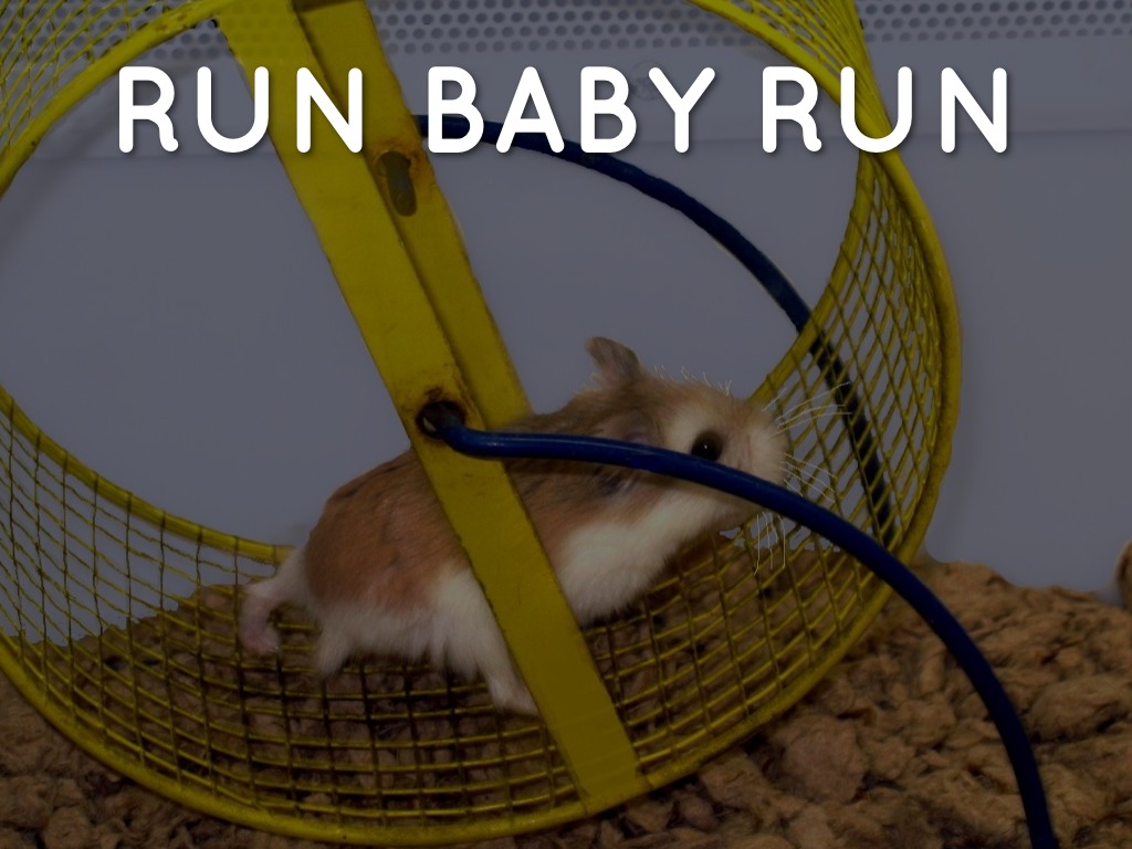 Health And Weight Loss