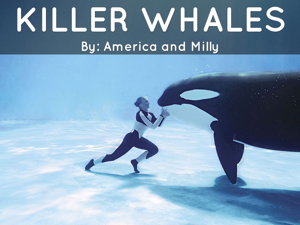 Killer whales
