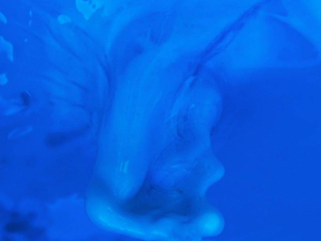 Copy of ISTE Standards