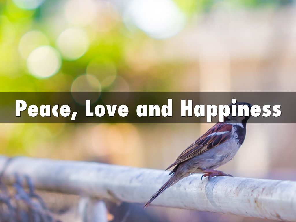 Peace, Love and Happiness