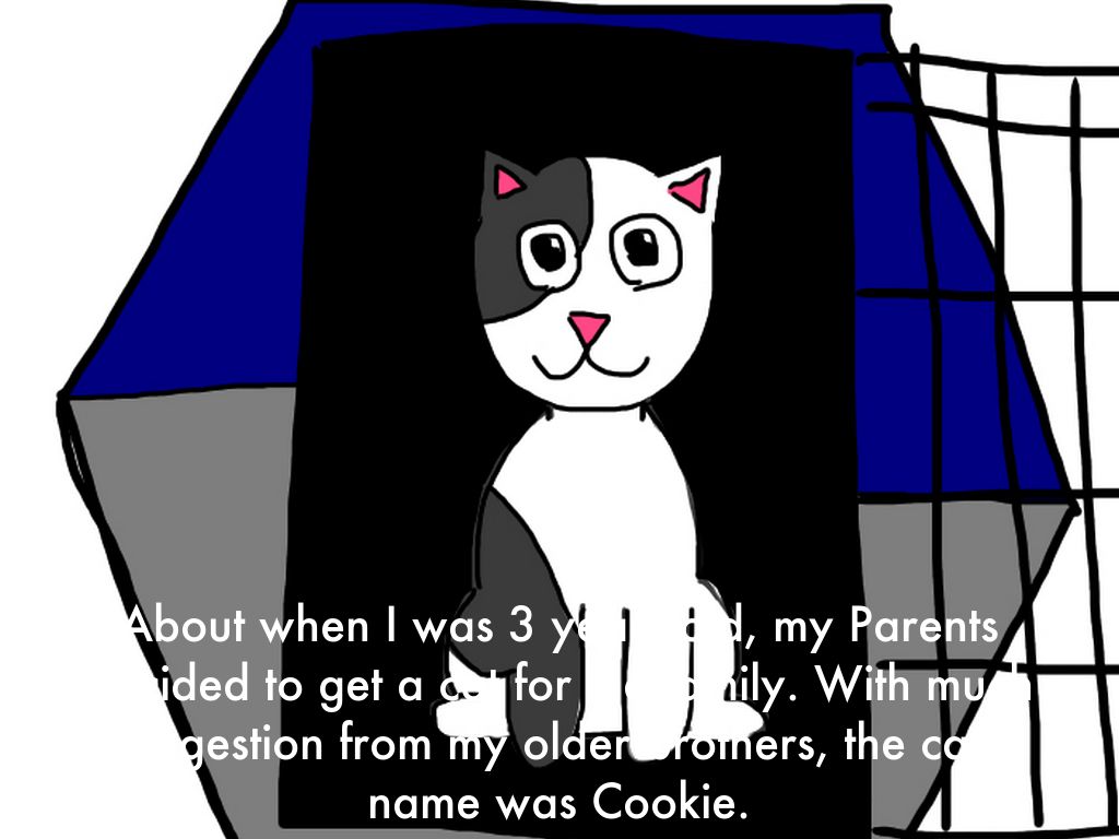 Cookie The Cat- Childhood Comic
