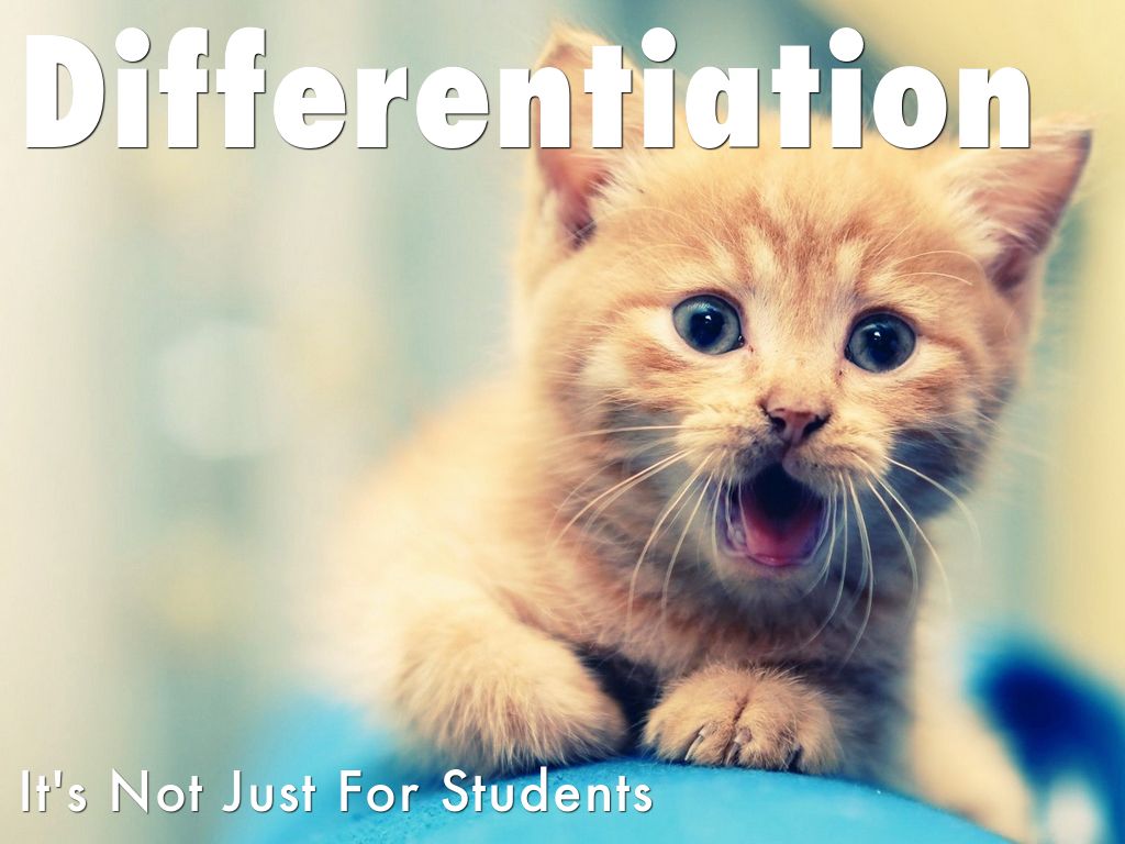 Differentiation - Not Just For Students