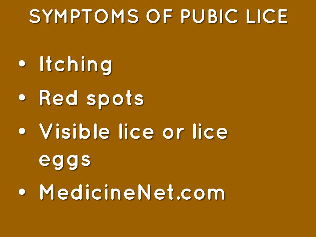 Pubic Lice by Dillon Negrai