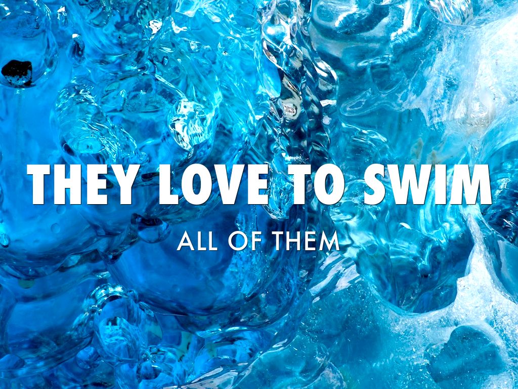 Sophia, Della, Carsen 