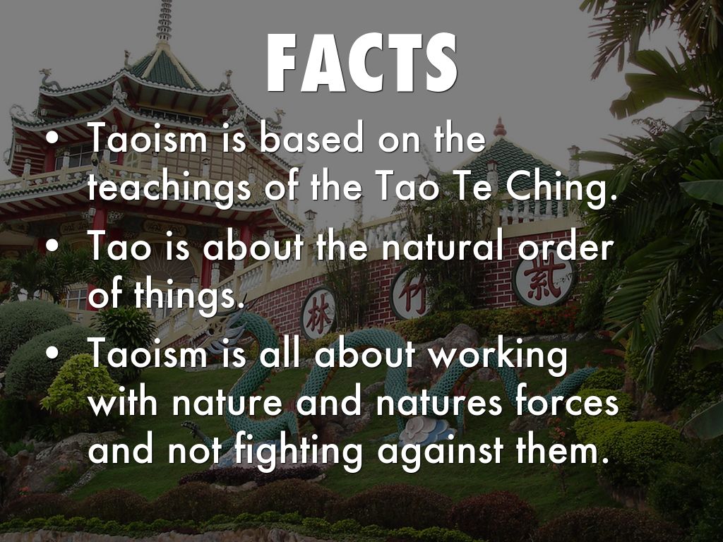 Taoism By Bailey Lowe