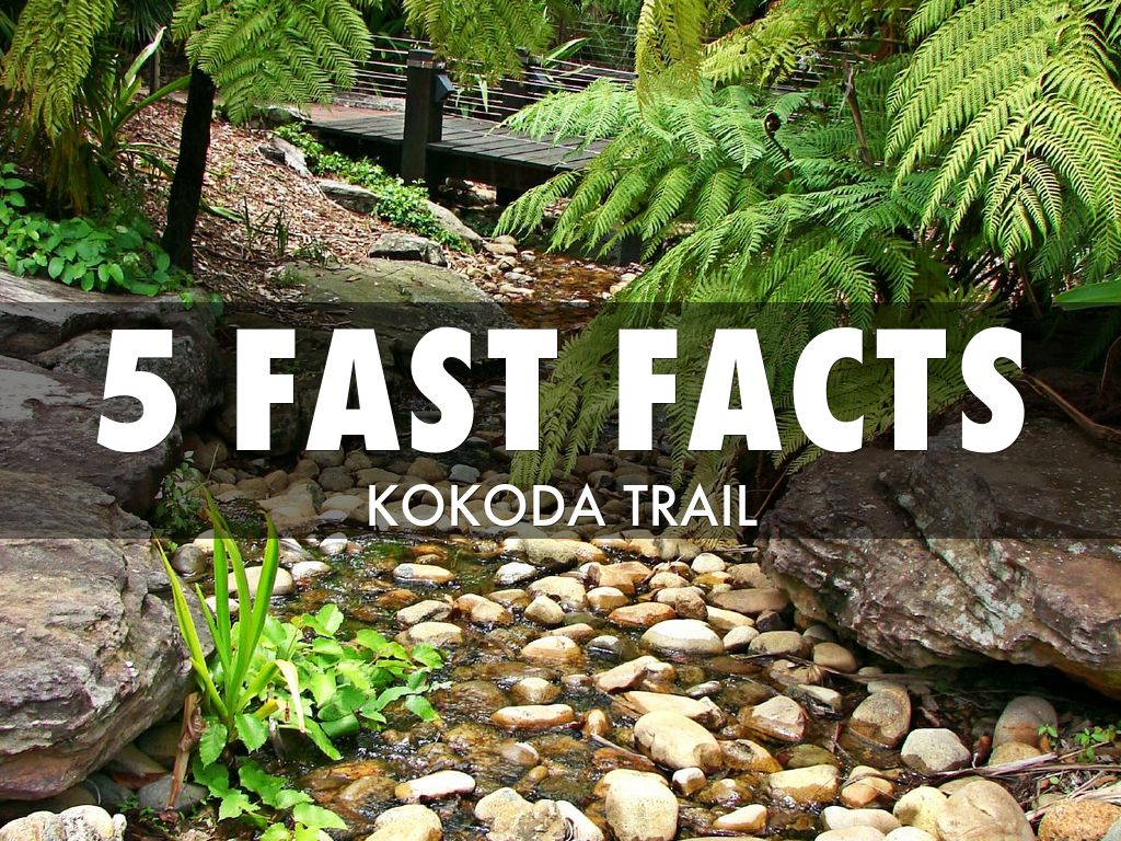5 fast facts