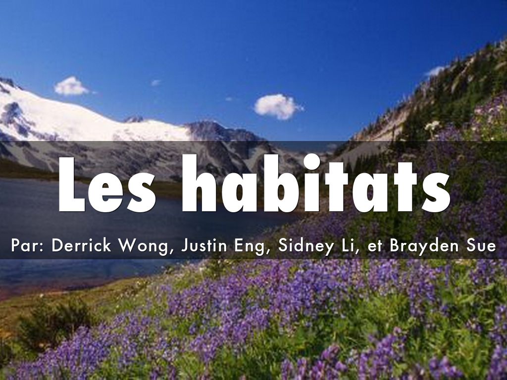 Les Habitats