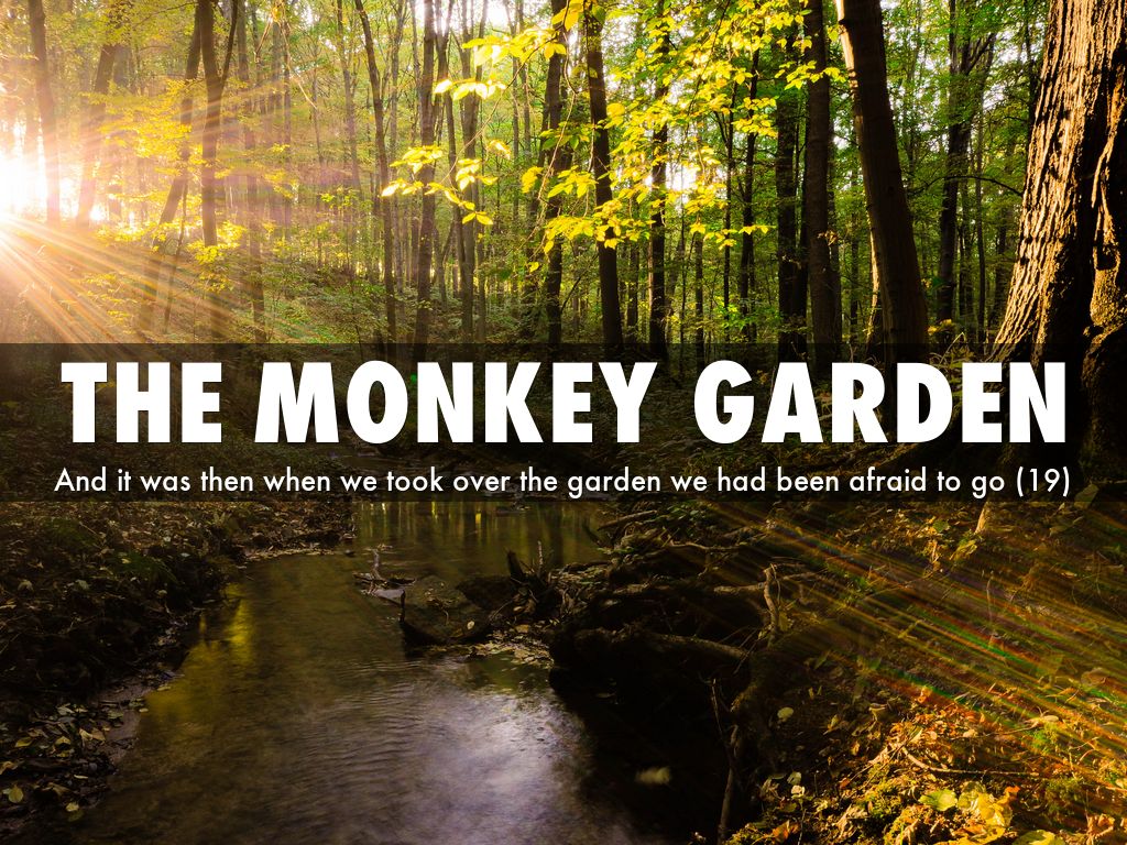 an analysis of the monkey garden an analysis of the monkey garden
