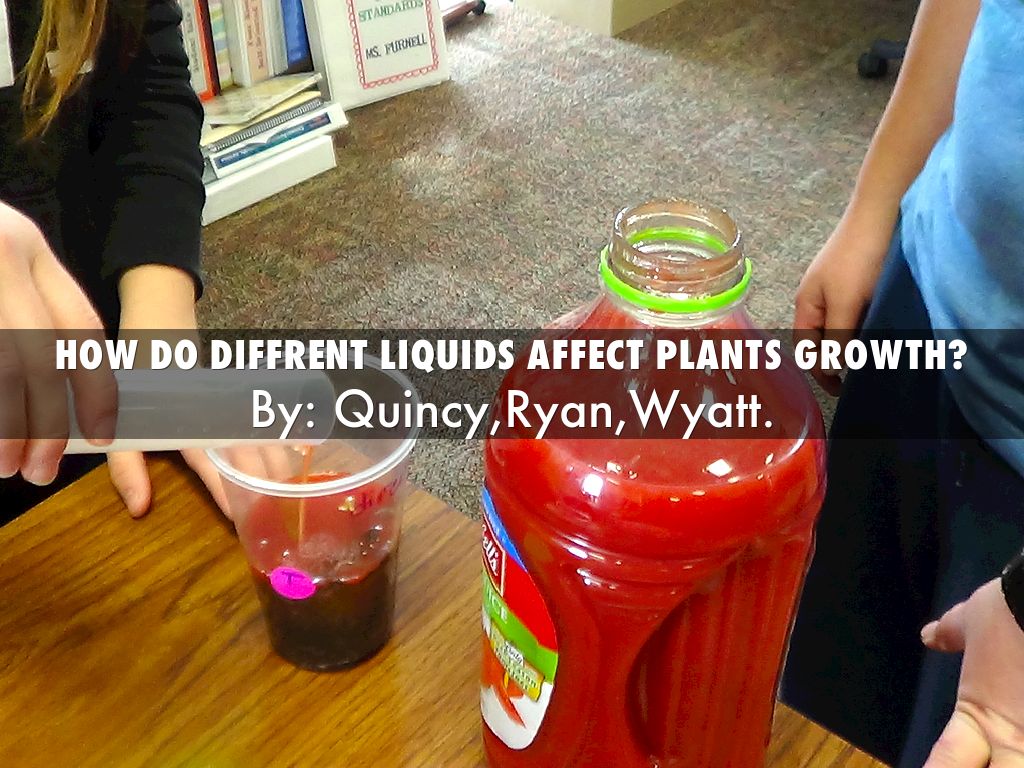 how do diffrent liquids affect plants growth? by
