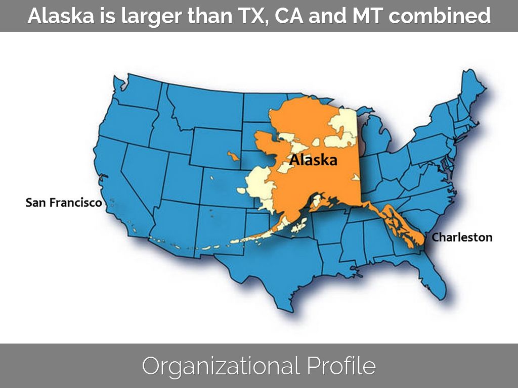 Copy of Organizational Profile