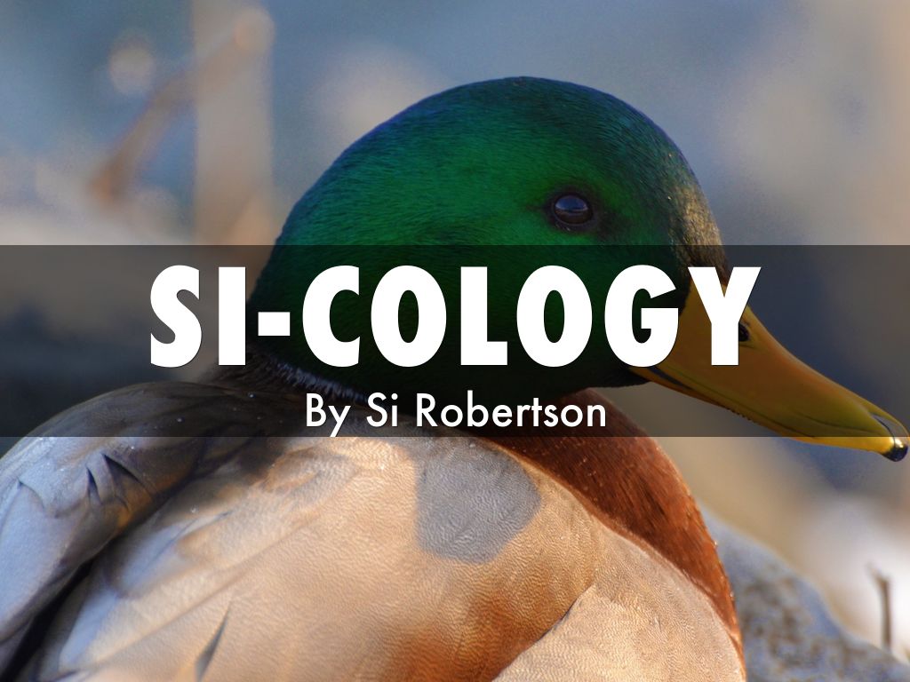 Si-Cology