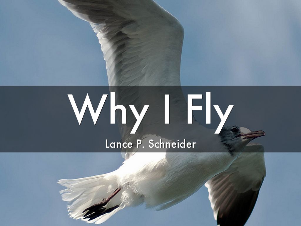 Why I Fly