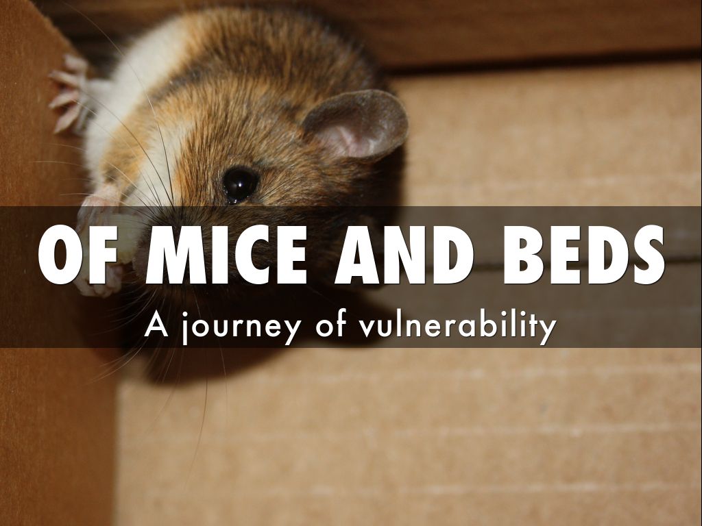 OF MICE AND BEDS by Chris Fuguet