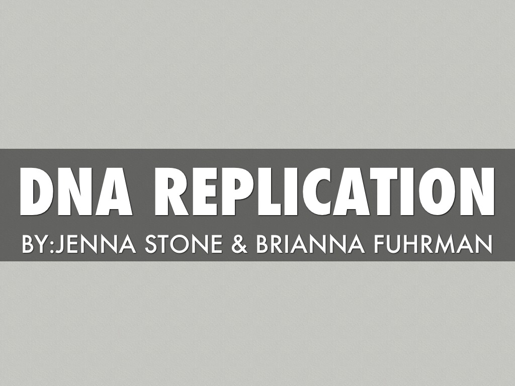 DNA Replication