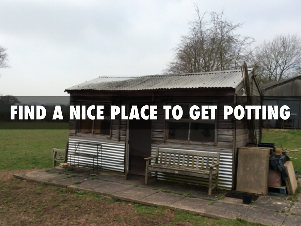 How To....Sow seeds and grow your own vegetables.