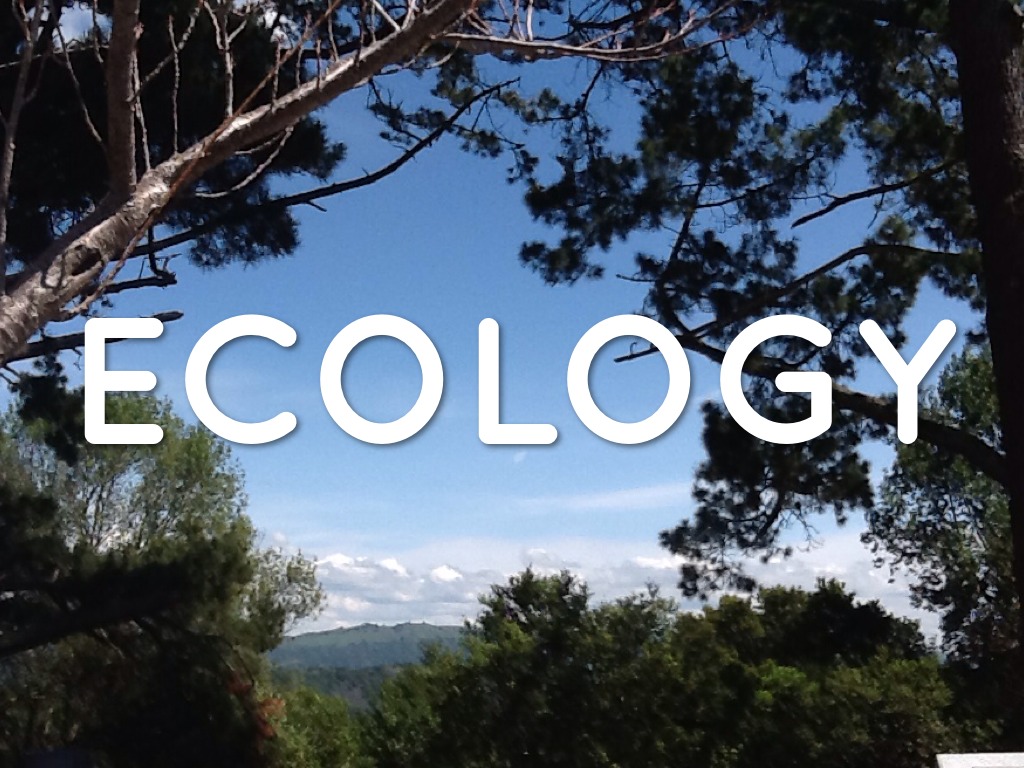 Period 5-Dustin And Abdul-Ecology