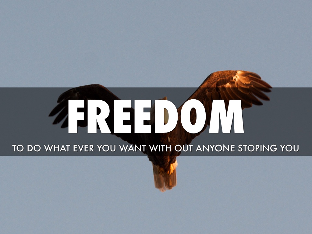 Freedom