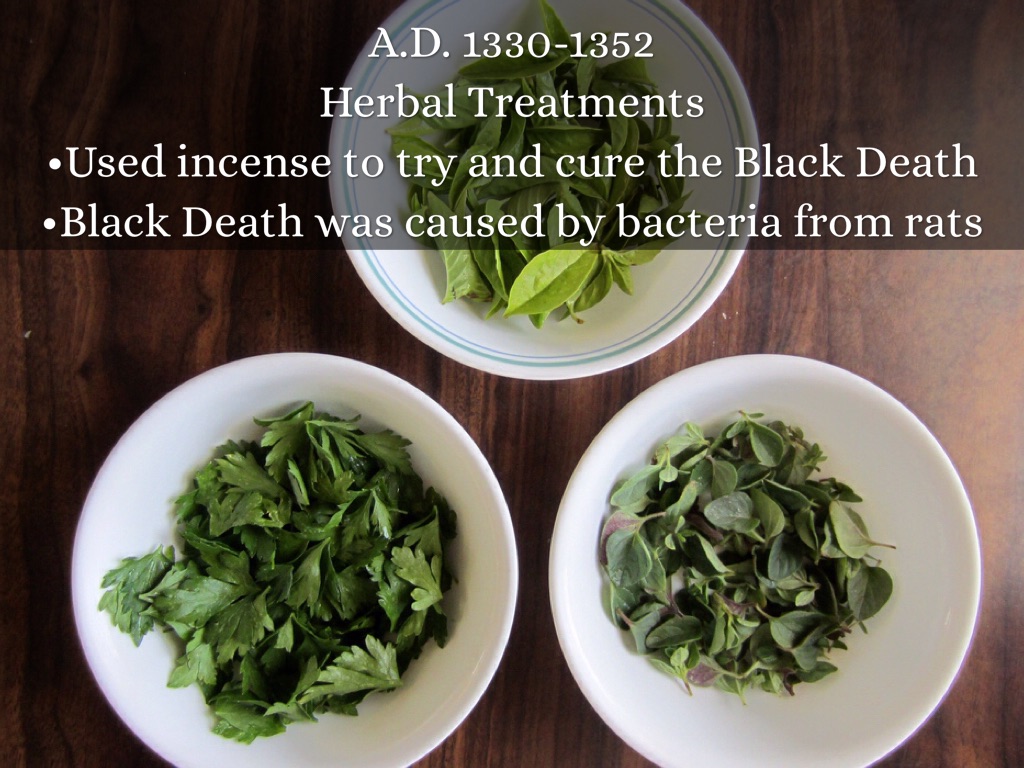 History Of Medicine by Ashley Frankwitz