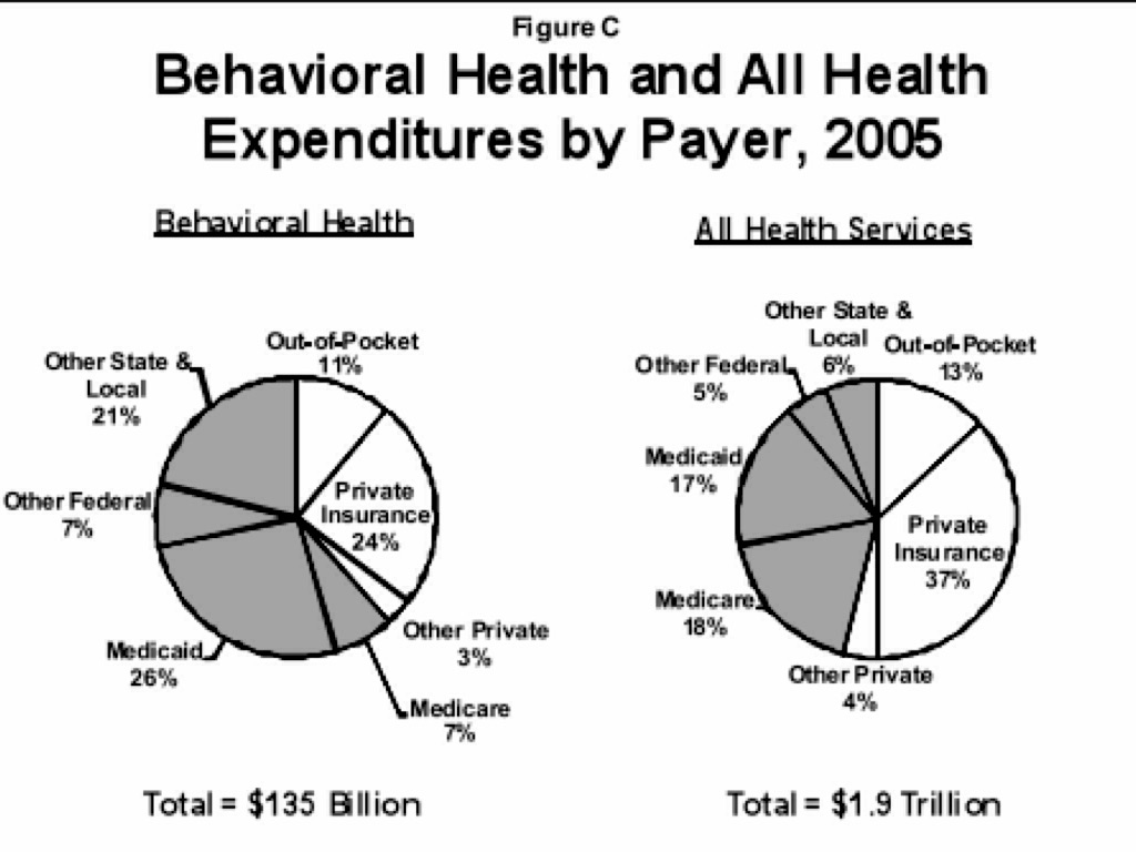 Mental Health Budget 