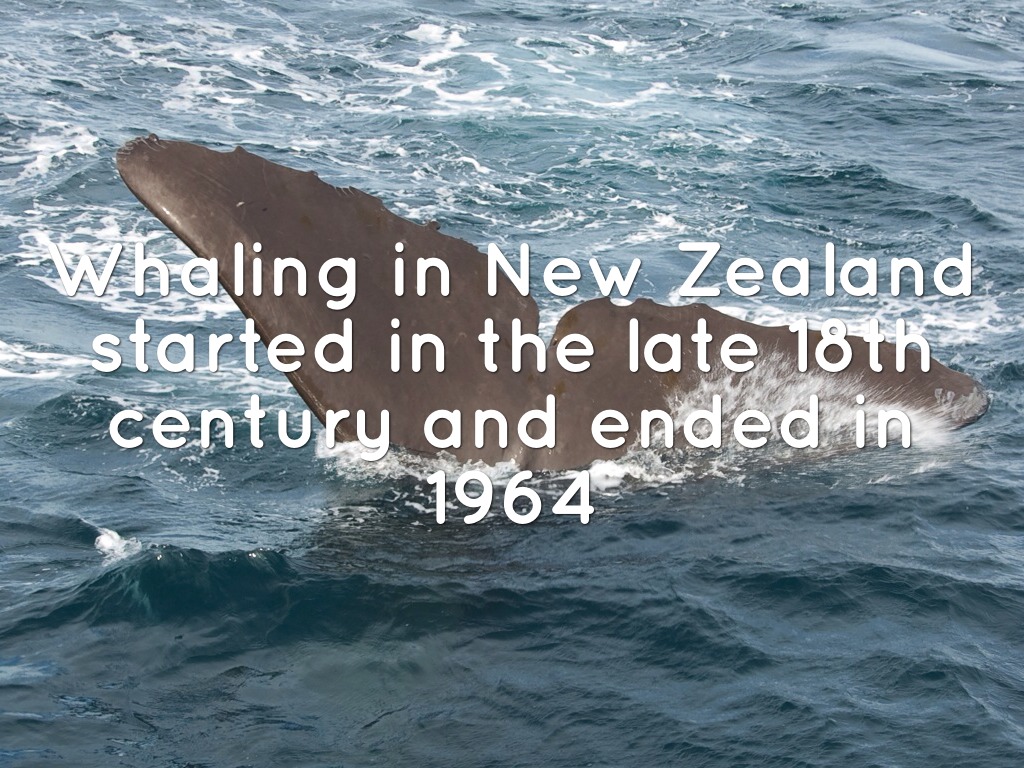 Whaling by Angel Browning