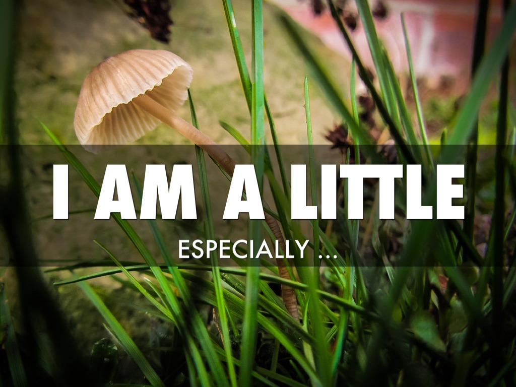 i am a little