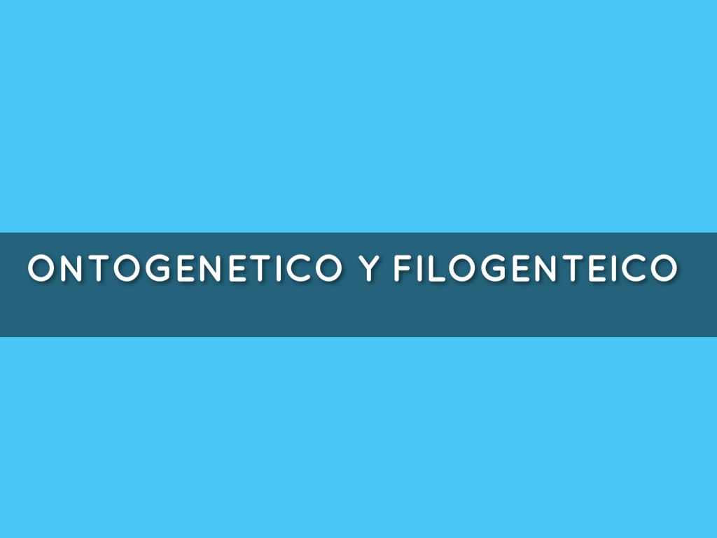 Ontogenetico Y Filo genético